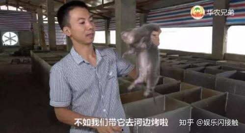 潮汕网红吃瓜事件视频播放,视频播放量惊人,网友热议不断  第2张 潮汕网红吃瓜事件视频播放,视频播放量惊人,网友热议不断  第2张