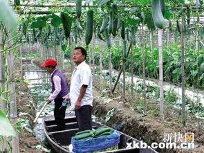 娱乐吃瓜村,揭秘娱乐圈背后的那些事儿  第3张 娱乐吃瓜村,揭秘娱乐圈背后的那些事儿  第3张