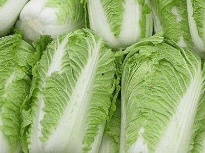 白菜在线观看,一场视觉盛宴的云端之旅  第2张 白菜在线观看,一场视觉盛宴的云端之旅  第2张