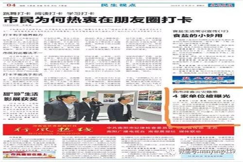 南阳市新闻爆料网,聚焦本土热点,传递民生声音  第3张 南阳市新闻爆料网,聚焦本土热点,传递民生声音  第3张