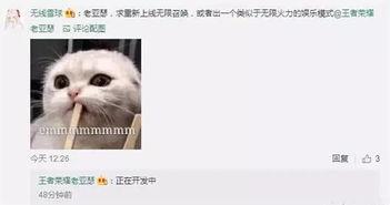 策划八哥爆料视频大全,视频大全背后的精彩故事  第3张 策划八哥爆料视频大全,视频大全背后的精彩故事  第3张