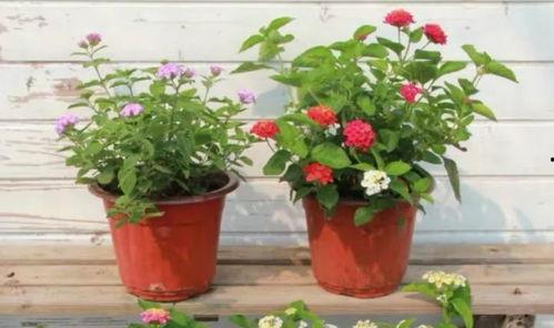 水星新闻爆料视频大全最新,揭秘最新热点事件  第3张 水星新闻爆料视频大全最新,揭秘最新热点事件  第3张