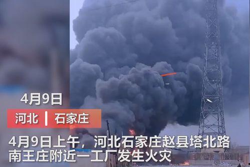 2021爆料视频,热点事件幕后真相全解析  第3张 2021爆料视频,热点事件幕后真相全解析  第3张