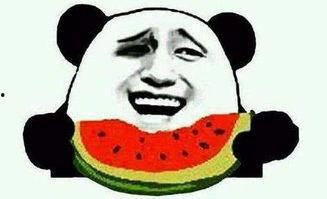 娱乐吃瓜君遛鸟大师,遛鸟大师的传奇人生  第2张 娱乐吃瓜君遛鸟大师,遛鸟大师的传奇人生  第2张