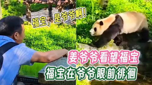 爆料爷爷的视频福宝,揭秘爷爷视频中的神秘传说  第2张 爆料爷爷的视频福宝,揭秘爷爷视频中的神秘传说  第2张