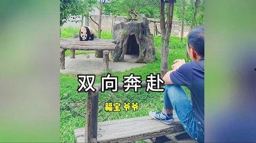 爆料爷爷的视频福宝,揭秘爷爷视频中的神秘传说  第3张 爆料爷爷的视频福宝,揭秘爷爷视频中的神秘传说  第3张