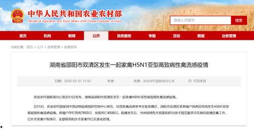 邵阳新闻爆料平台电话是多少,市民知情渠道再拓宽  第3张 邵阳新闻爆料平台电话是多少,市民知情渠道再拓宽  第3张
