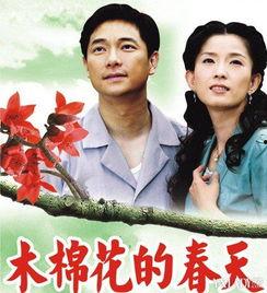 木棉花的春天在线观看  第2张